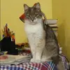 Отзыв от Элла Черкасова